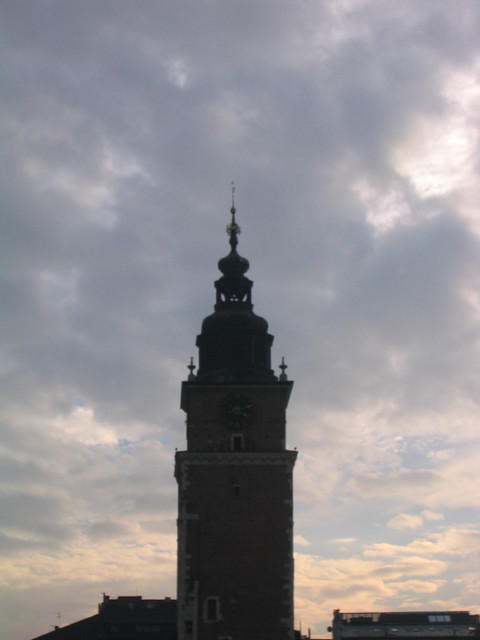 Picture_025.jpg