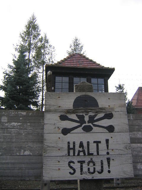 Picture_036.jpg