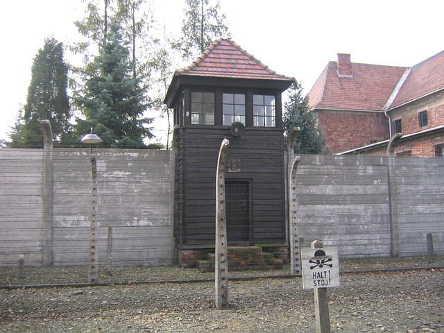 Picture_037.jpg