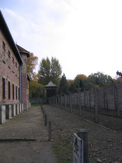 Picture_038.jpg