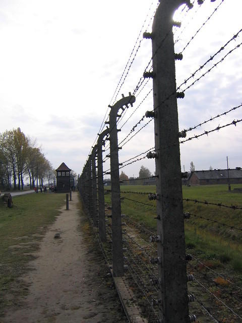 Picture_039.jpg