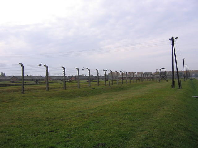 Picture_040.jpg