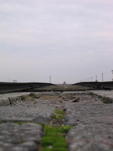 Picture_044.jpg