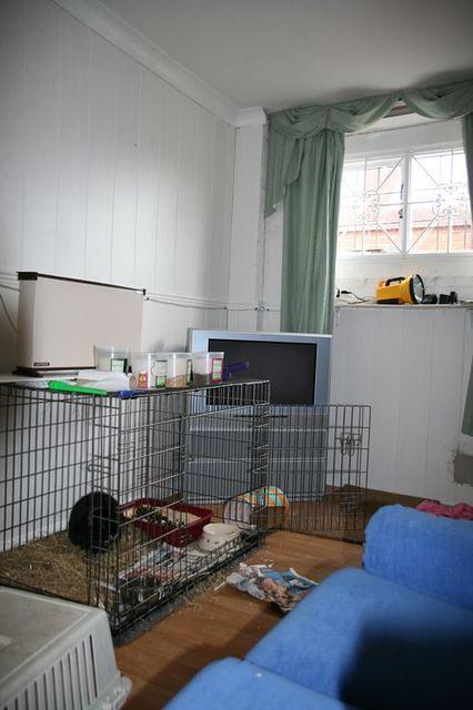 Harry in partial garage conversion with old tv and sofa.