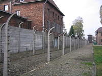 Picture_035.jpg