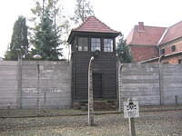 Picture_037.jpg