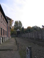 Picture_038.jpg
