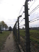 Picture_039.jpg
