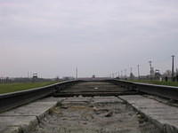 Picture_043.jpg