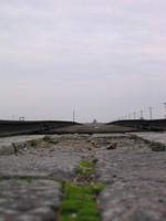 Picture_044.jpg