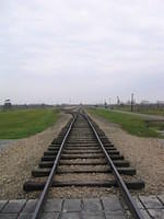 Picture_045.jpg