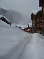 DSC00041.JPG
